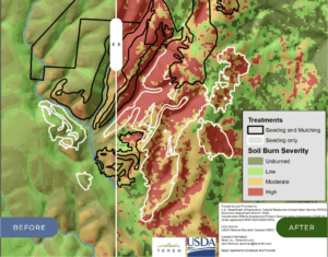 Using technology to prevent and treat wildfires